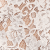 028 - Ivory